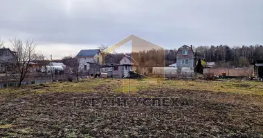 Grundstück in Vialikija Matykaly, Weißrussland