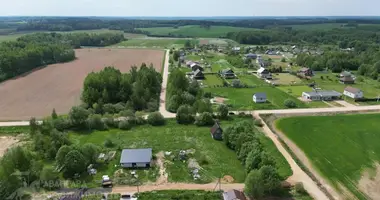 Haus in Piatryskauski siel ski Saviet, Weißrussland