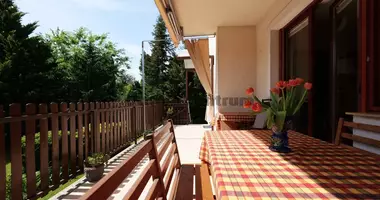 6 room house in Budapest, Hungary