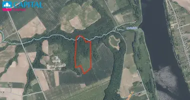 Plot of land in Pamiske, Lithuania
