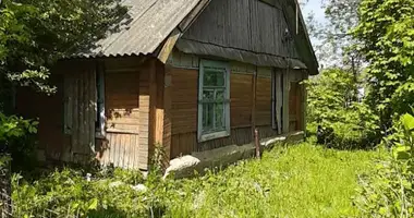 Maison dans Achmiany, Biélorussie