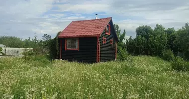 Casa 1 habitación en Dabryniouski sielski Saviet, Bielorrusia