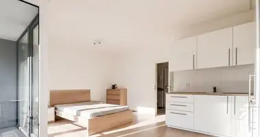 Wohnung 2 Zimmer in Bezirk Hauptstadt Prag, Tschechien