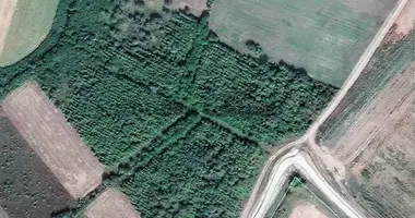 Plot of land in Tiszasziget, Hungary