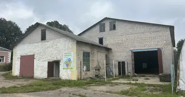 Manufacture 54 m² in Krupki, Belarus