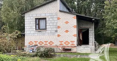 House in Matykalski sielski Saviet, Belarus