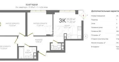 Apartment in Nizhny Novgorod, Russia