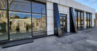 Commercial property 200 m² in Tbilisi, Georgia