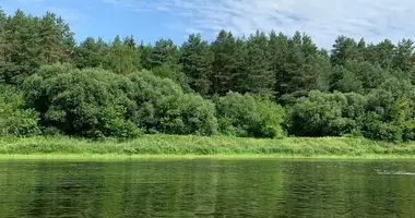 Casa en Andrejeuscynski sielski Saviet, Belarús