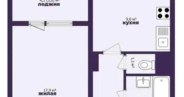 1 room apartment in Minsk, Belarus