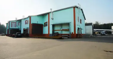 Manufacture 631 m² in Suharukia, Belarus
