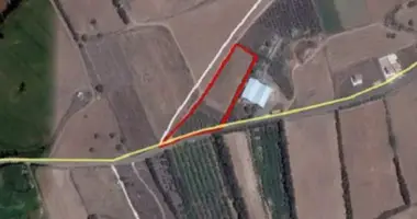 Plot of land in Kouklia, Cyprus