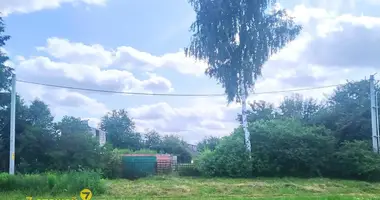 Grundstück in Zabalocki sielski Saviet, Belarus