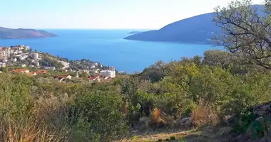 Casa en Topla, Montenegro