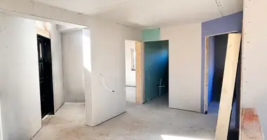 House in Laumenai, Lithuania