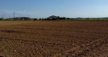 Grundstück in Kato Deftera, Cyprus