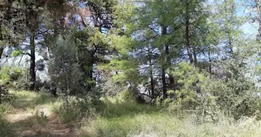 Terrain dans Agios Georgios, Grèce