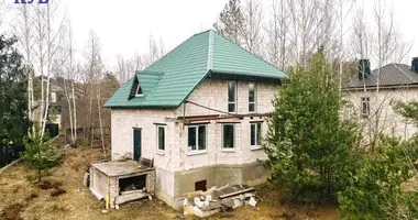 Cottage in Kalodishchy, Belarus