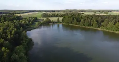 Apartment in Linie, Poland
