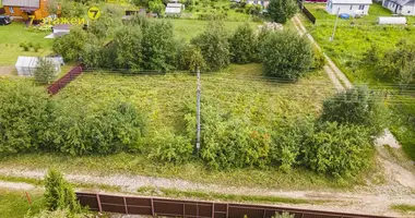 Maison dans Dziamidavicki siel ski Saviet, Biélorussie