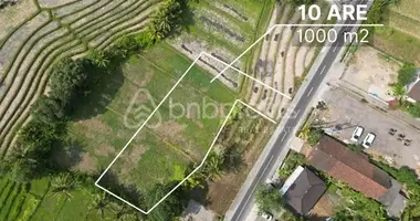 Plot of land in Tabanan, Indonesia