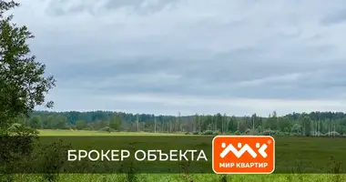 Plot of land in Romashkinskoe selskoe poselenie, Russia