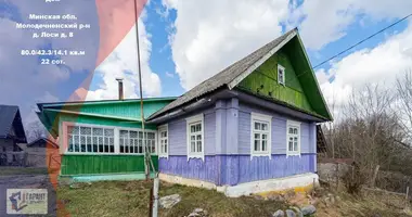 House in Krasnienski sielski Saviet, Belarus