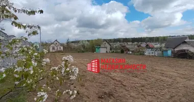 Terrain dans Kapciouski siel ski Saviet, Biélorussie