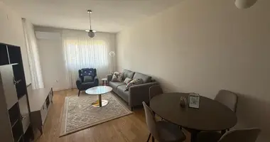 Apartamento 1 habitacion en Montenegro