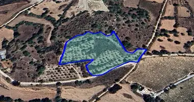 Terrain dans Fyti, Chypre