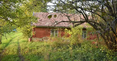 2 room house in Oereglak, Hungary