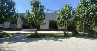 Коммерческое помещение 450 м² в Ташкент, Узбекистан