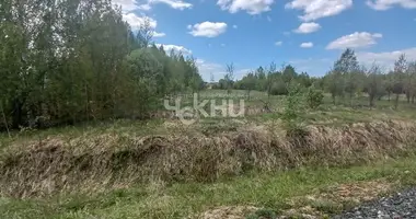 Plot of land in Bolshemokrinskiy selsovet, Russia