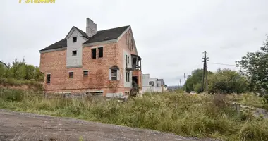 Cottage in Piatryskauski sielski Saviet, Belarus