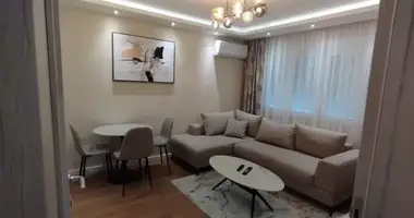 Apartamento 1 habitacion en Montenegro