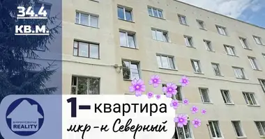 Wohnung 1 zimmer in Baranawitschy, Belarus
