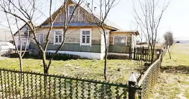 House in Malušyčy, Belarus