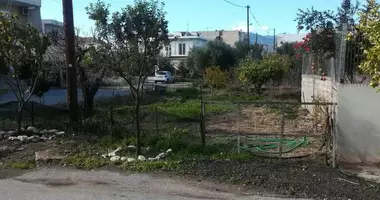 Grundstück in Gemeinde Delphi, Griechenland