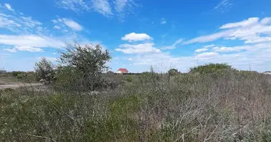 Terrain dans Sievierodonetsk, Ukraine