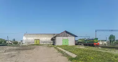 Entrepôt 773 m² dans Krasnienski sielski Saviet, Biélorussie