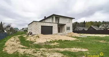 House in Zodzinski sielski Saviet, Belarus