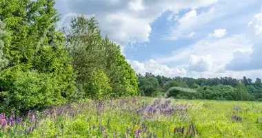 Parcela en poselenie Krasnopahorskoe, Rusia