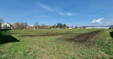 Terrain dans Slovénie