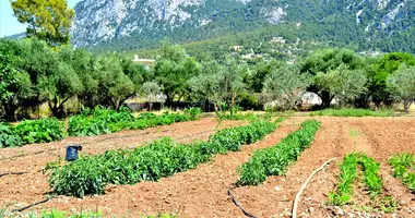 Plot of land in Agia Sotira, Greece