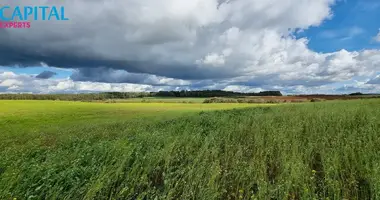 Plot of land in Maisiagala, Lithuania