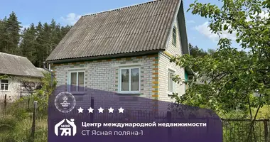 House in Krasnaje, Belarus