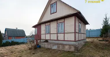 House in Lasanski sielski Saviet, Belarus