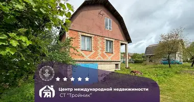 House in Rakauski sielski Saviet, Belarus