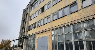 Manufacture 9 999 m² in Jalizava, Belarus