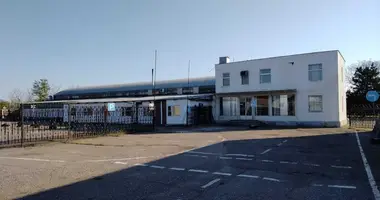 Commercial property 4 073 m² in Velykodolynske, Ukraine